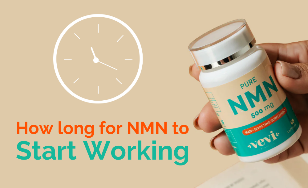 How Long Does NMN Take to Work?